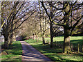 Private road to Chyknell Park, Shropshire