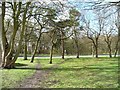 Paths across open space, Tanfield Lea