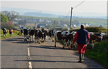 NX0656 : Another traffic jam! by The Carlisle Kid