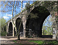 Northwich - viaduct east of the River Dane span