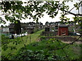 Broadmead Avenue Allotments