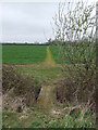 Footpath And Bridge