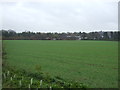 Farmland off the A607