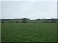 Farmland near Barkston Lodge