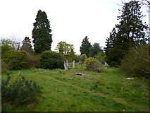 SU4113 : Southampton Old Cemetery by Mike Faherty
