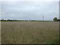 Farmland near Field House