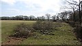 Hedge laying near Magpie