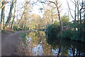 Basingstoke Canal