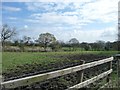 Well-trodden pasture near Whiteside Farm