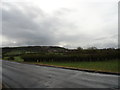 Looking South from Moorsley Road