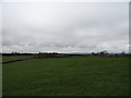 View to the West from Pittington Road