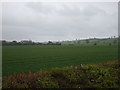 Farmland off Blackmoor Road