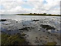 Horse Island, Strangford Lough