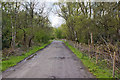 The track to Pestfurlong Moss