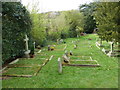 Within the Watts Chapel Cemetery (q)