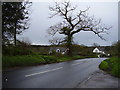 Footpath near Canterbury Green