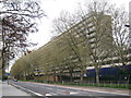 Kingshill, Heygate Estate