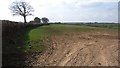 Field, Five Crosses