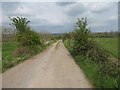 Track to Brindham Lane