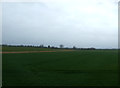 Farmland near Stubton