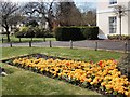 Flowerbed near Field Place Manor