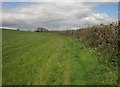 SX7155 : Field near Clunkamoor by Derek Harper