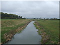 The River Witham