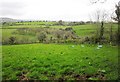 SX7056 : Valley near Langford Barton by Derek Harper