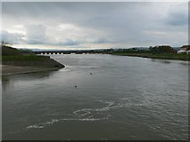 SH9980 : The river Clwyd by Eirian Evans