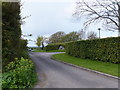 Looking towards Whale Wharf