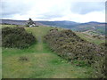 On Twyn y Gaer in the Black Mountains