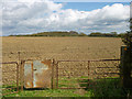 TQ5512 : Footpath across a ploughed field by Robin Webster
