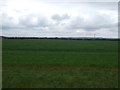 Flat farmland off Sutton Road