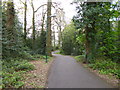 Southampton Common, cycle route