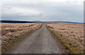 SN7549 : Estate or farm road crossing Cefn Cnwcheithinog by Trevor Littlewood