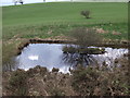 Pond at Aber Las Farm