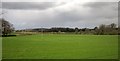 Field near Semley