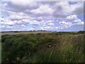 Looking towards Slingley Hill