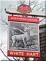 White Hart sign