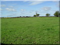 Farmland near Little Houghton