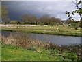 Sheep grazing beside the Avon at Upper Woodford