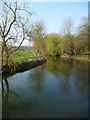 Salisbury - River Avon