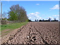 SP3369 : Fields at Cubbington Heath by Nigel Mykura