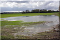 Flooded field in East Challow