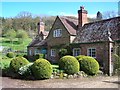 House with clipped bushes