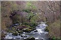 Bridge near Tregarth