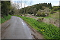 Road near the Folly