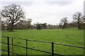 View from St Germanus, Faulkbourne churchyard