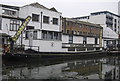 Rosie on the Regents Canal