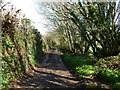 Track near Corntown